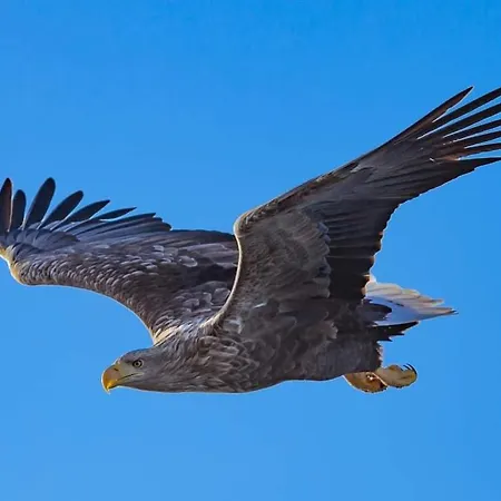 Apartament Sea & Mountain View